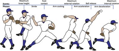 Lower body energy generation, absorption, and transfer in youth baseball pitchers